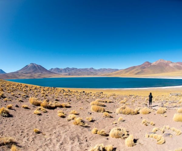 que-ver-desierto-de-atacama-portada